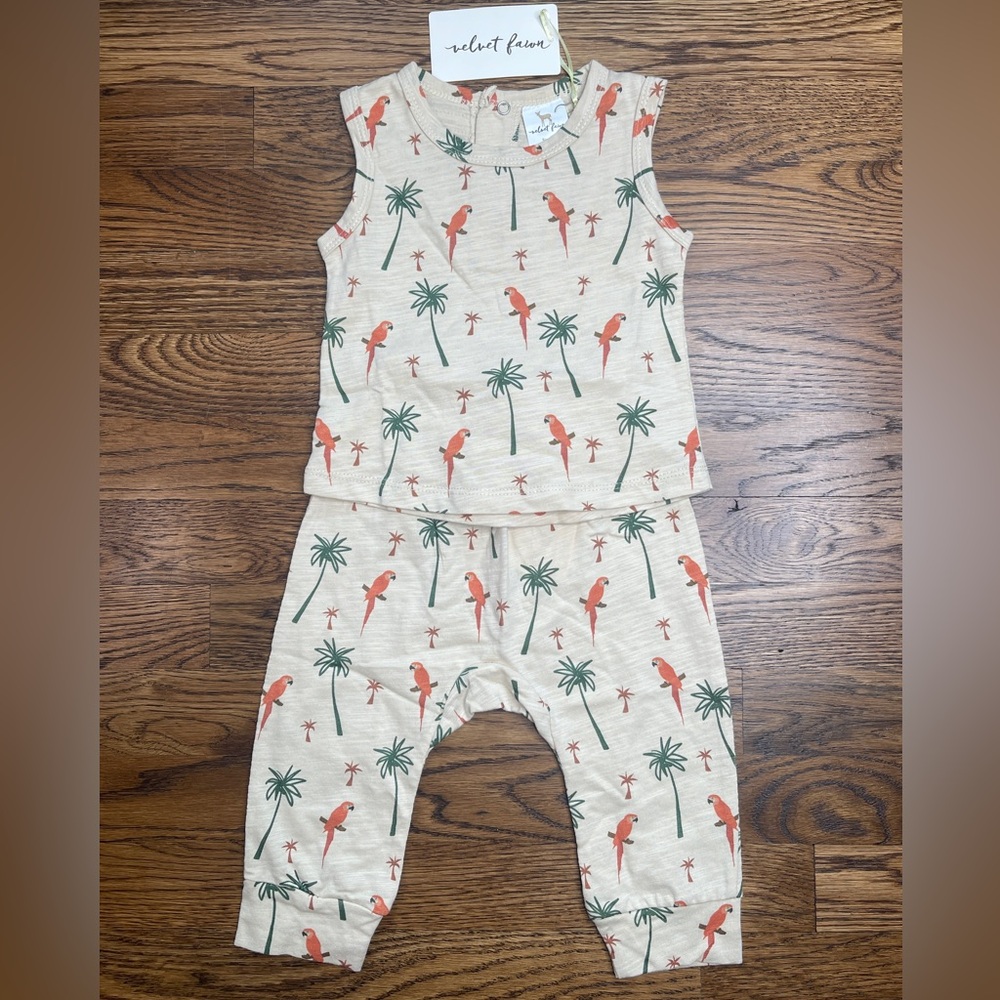 Velvet Kids Dinosaur Print Matching Set - Cream and Green